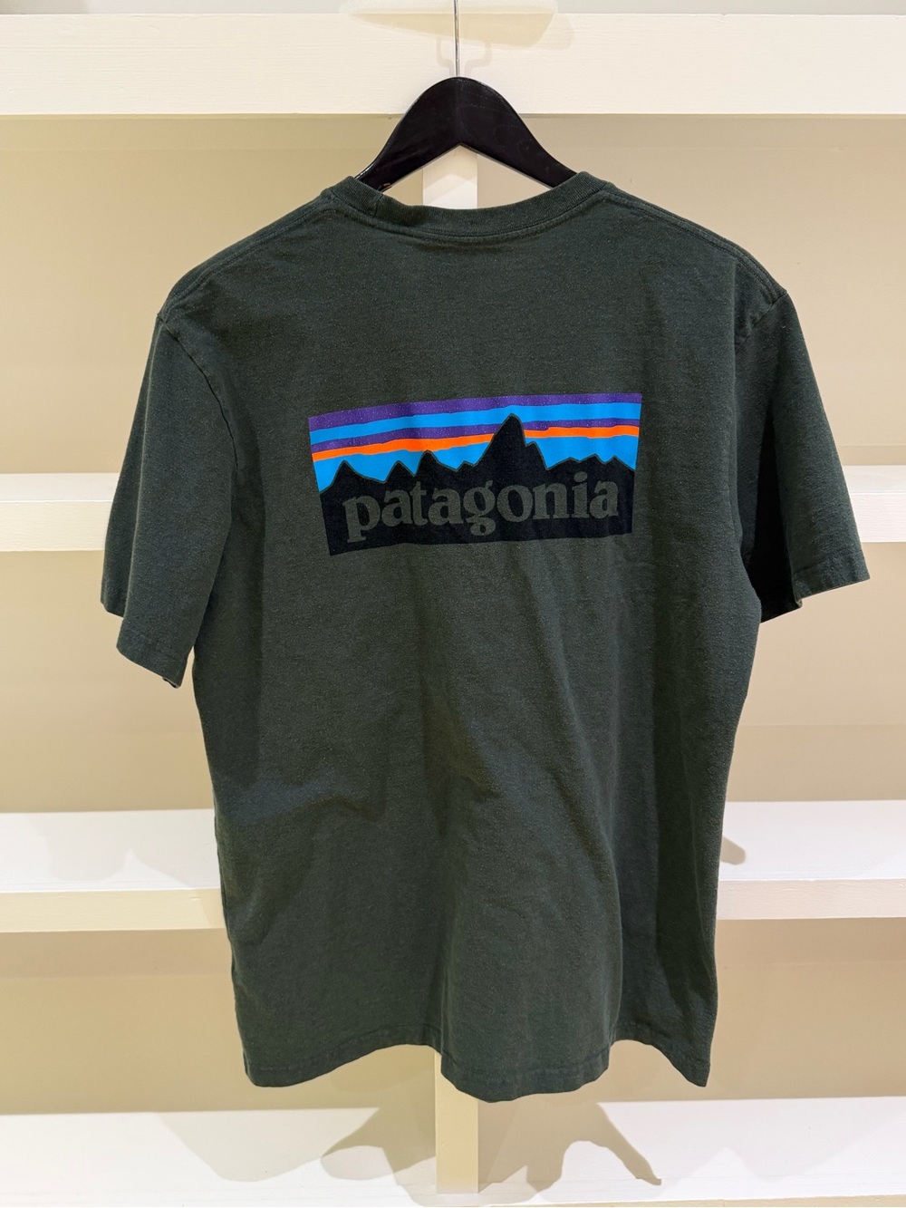 Patagonia Green Logo Tee (size large, men's)